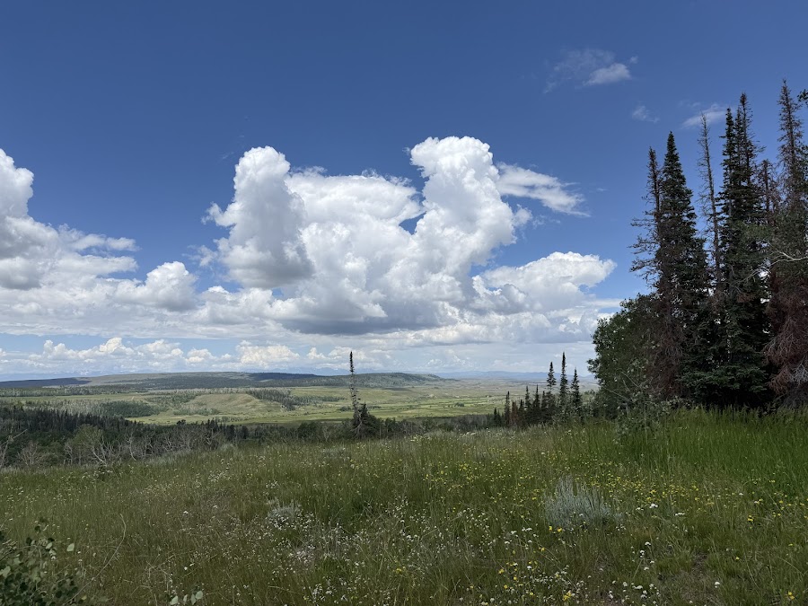 State Forest State Park