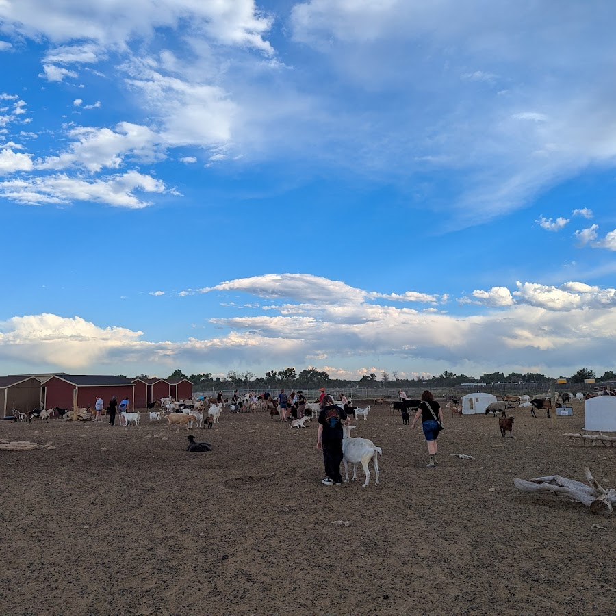 Broken Shovels Farm Sanctuary
