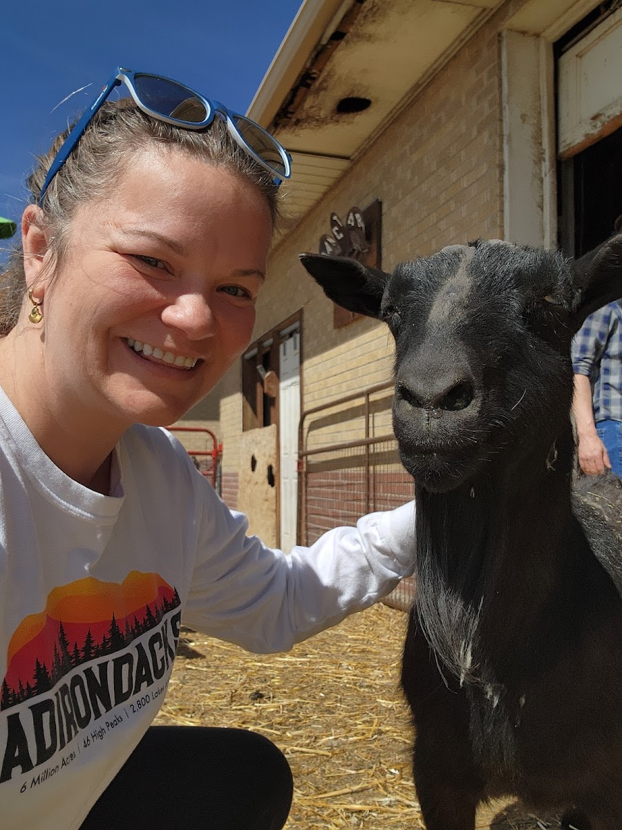 Broken Shovels Farm Sanctuary