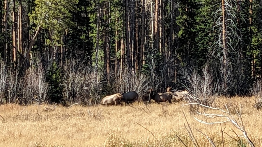 Holzwarth Historic Site