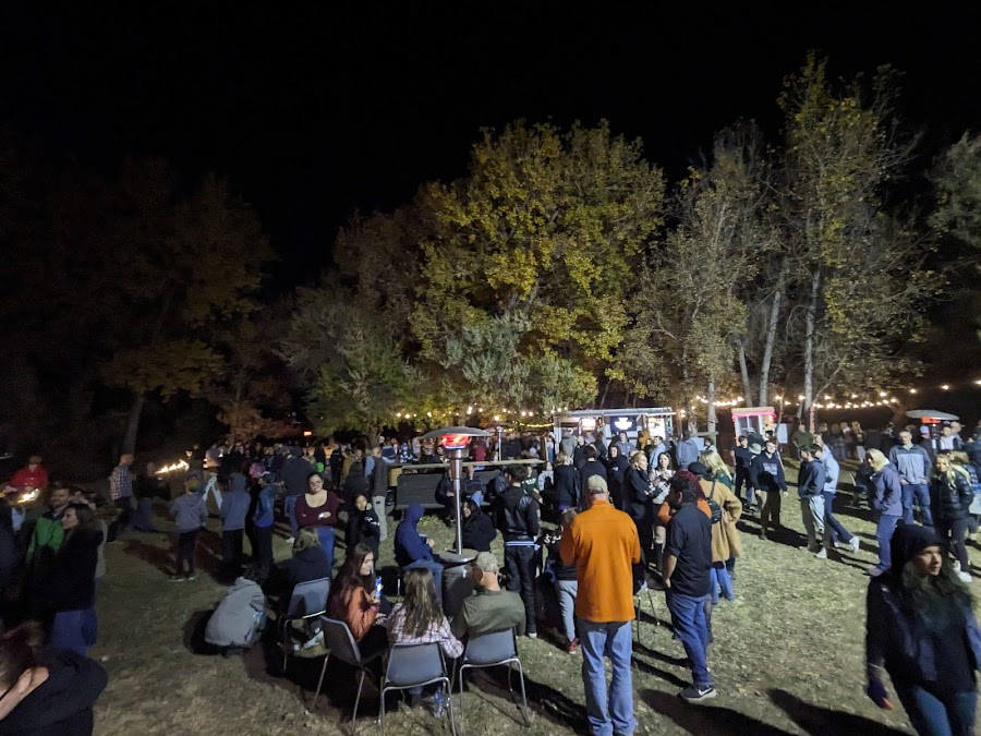 Creepy Walk in the Woods