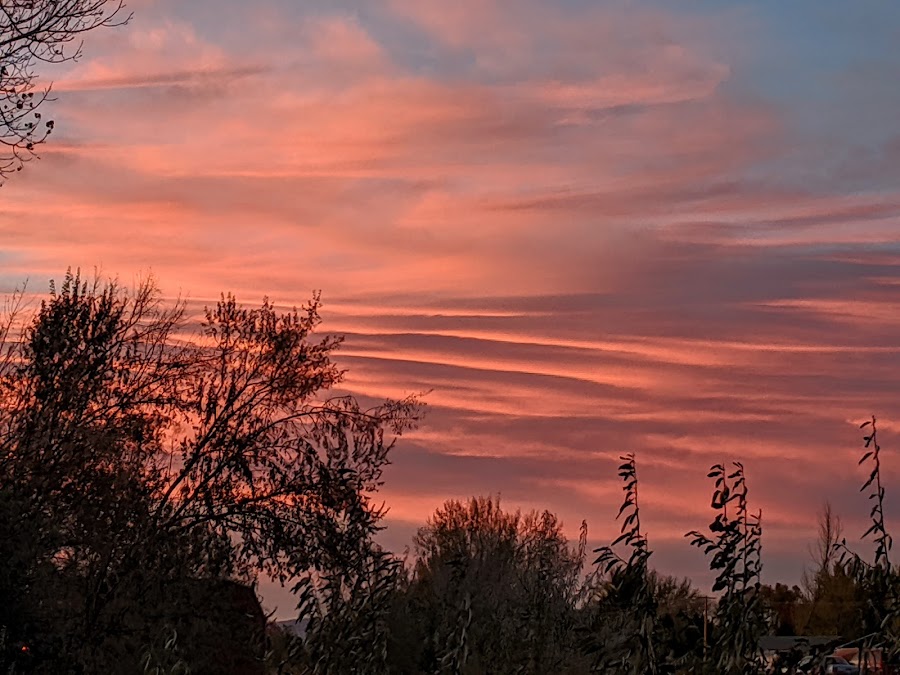 Creepy Walk in the Woods