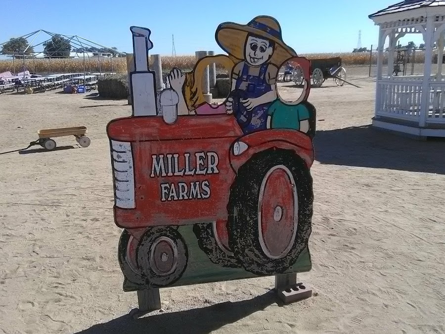 Miller Farms