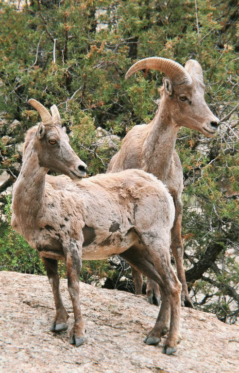 The Adventure Company - White Water Rafting