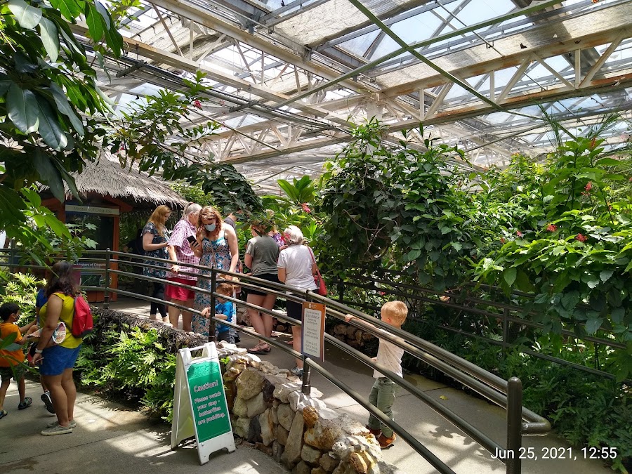 Butterfly Pavilion