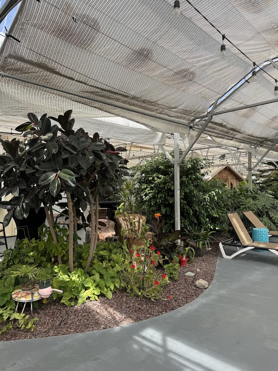 Sand Dunes Recreation