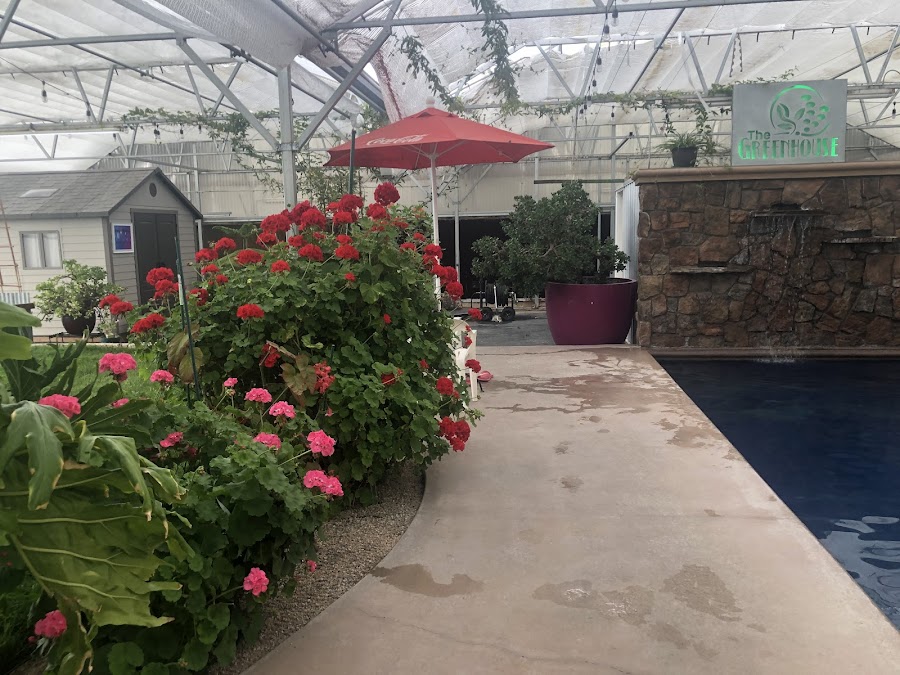 Sand Dunes Recreation