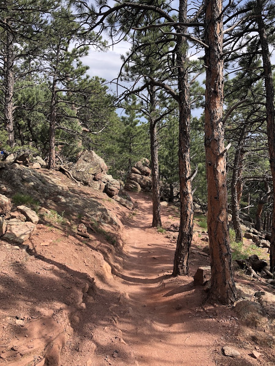 Lions Lair And Sunshine Canyon Trails