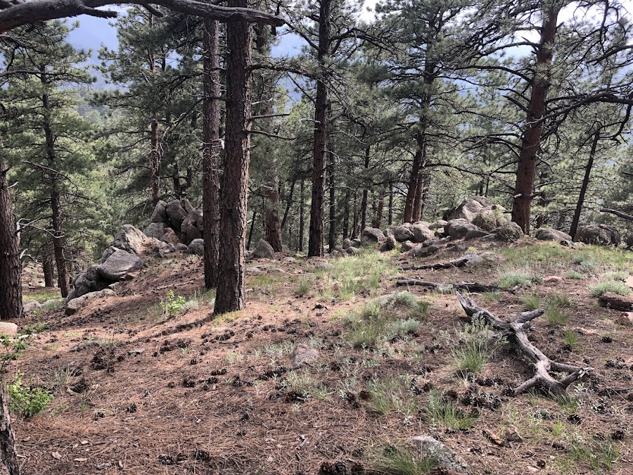 Lions Lair And Sunshine Canyon Trails