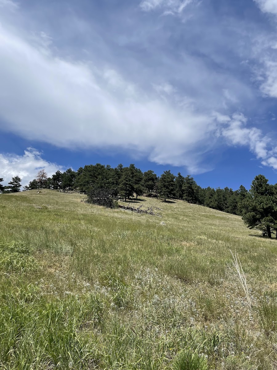 Lions Lair And Sunshine Canyon Trails
