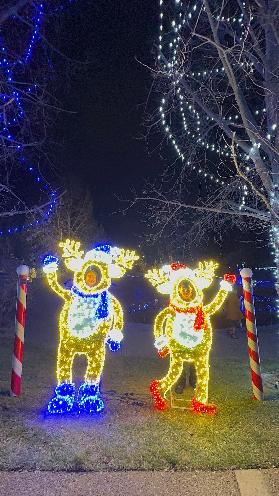 Chapungu Sculpture Park at Centerra