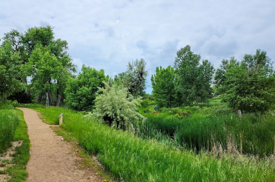 Chapungu Sculpture Park at Centerra