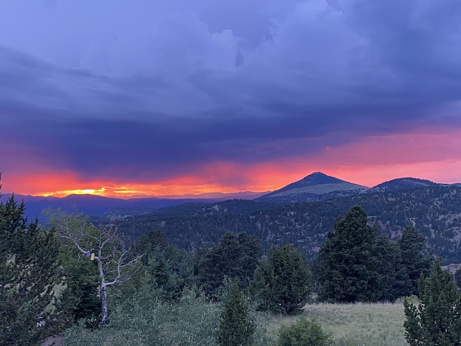 Rita the Rock Planter