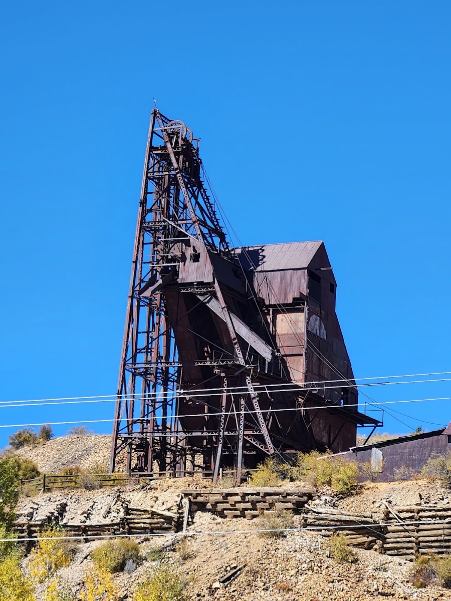 Rita the Rock Planter