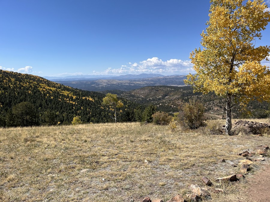 Rita the Rock Planter