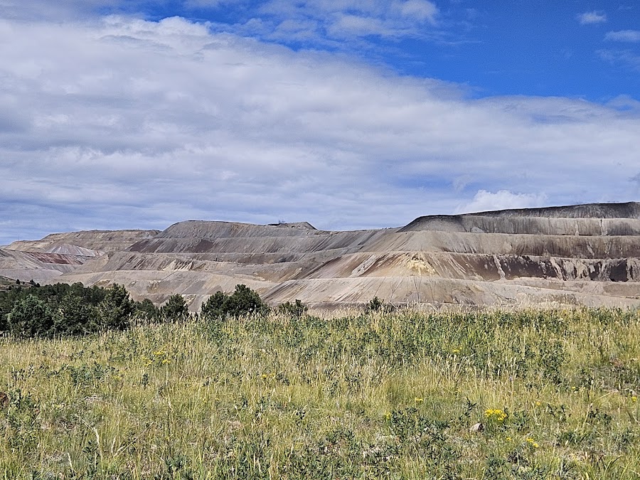 Rita the Rock Planter