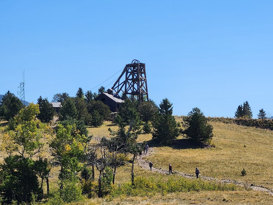 Rita the Rock Planter