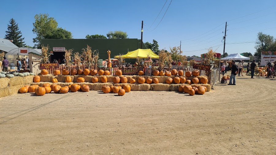 Rocky Mountain Pumpkin Ranch