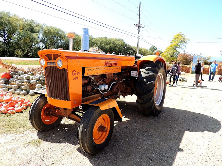 Rocky Mountain Pumpkin Ranch