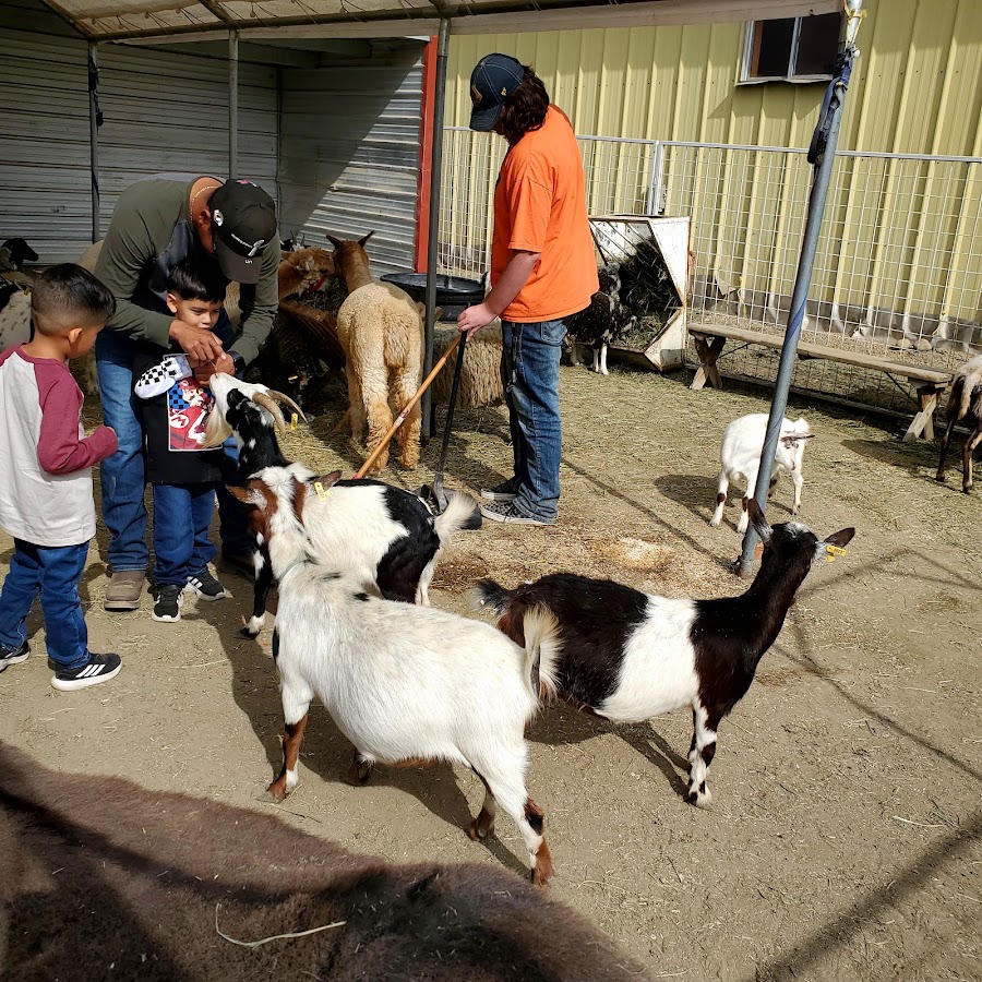 Rocky Mountain Pumpkin Ranch