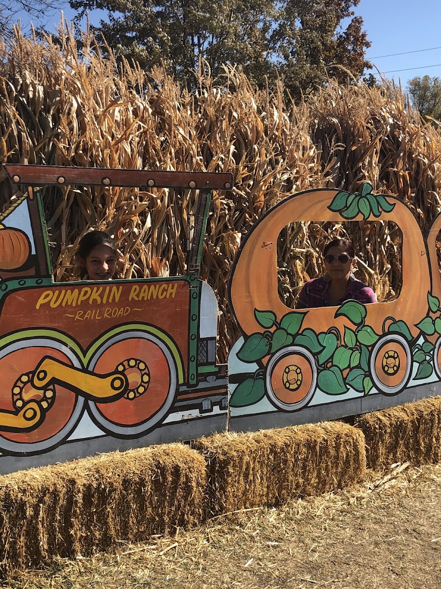 Rocky Mountain Pumpkin Ranch