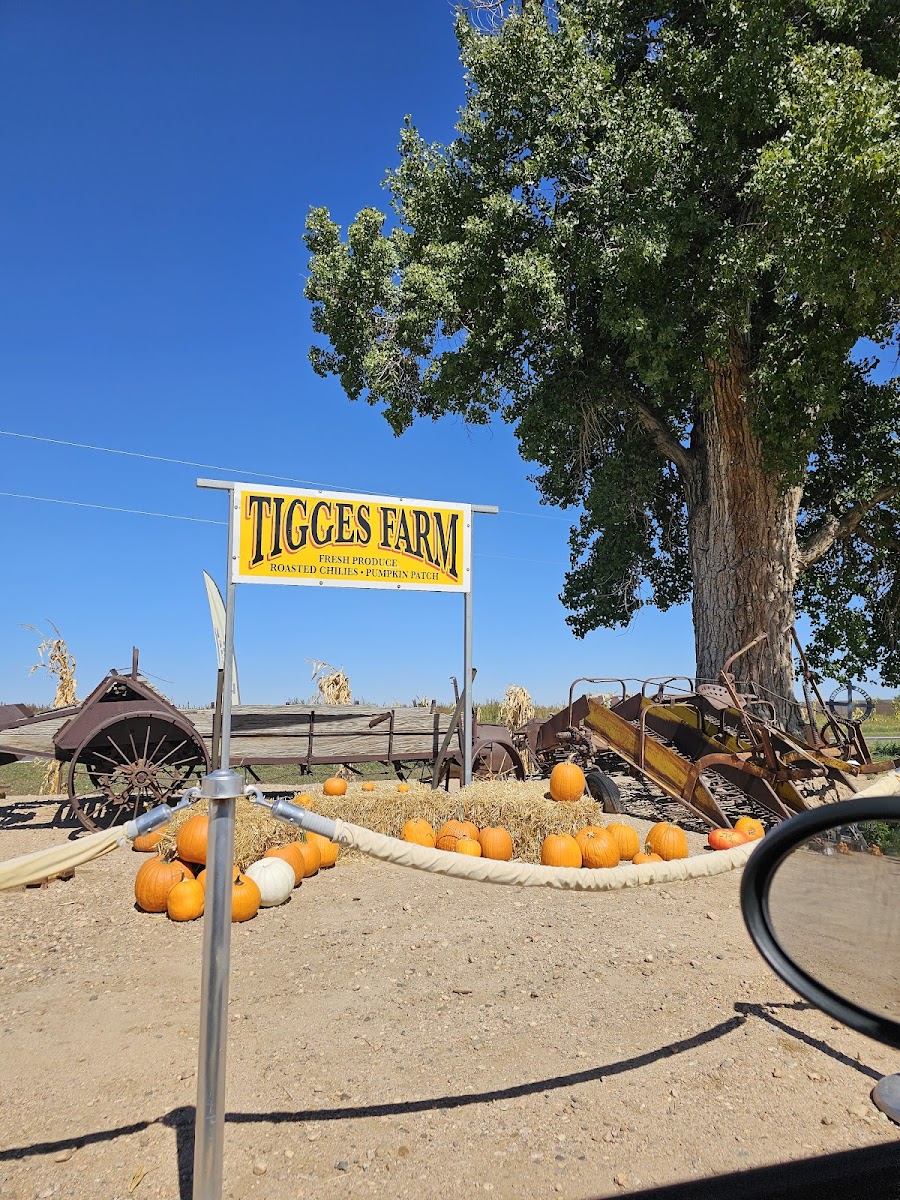 Tigges Farm Roasted Chilies & Pumpkin Patch