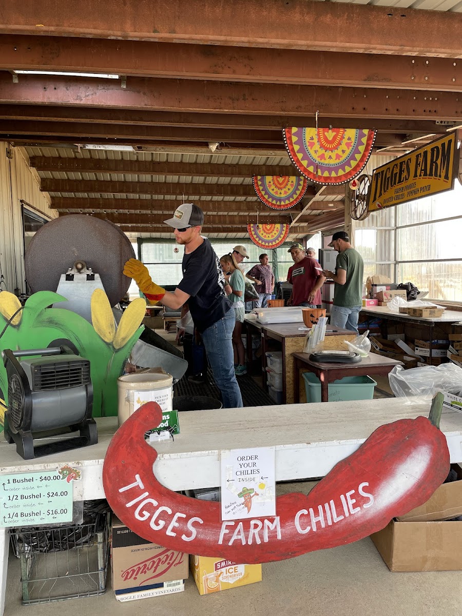 Tigges Farm Roasted Chilies & Pumpkin Patch