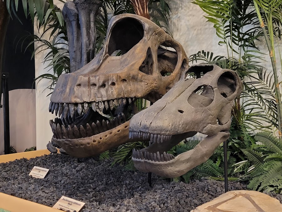 Rocky Mountain Dinosaur Resource Center