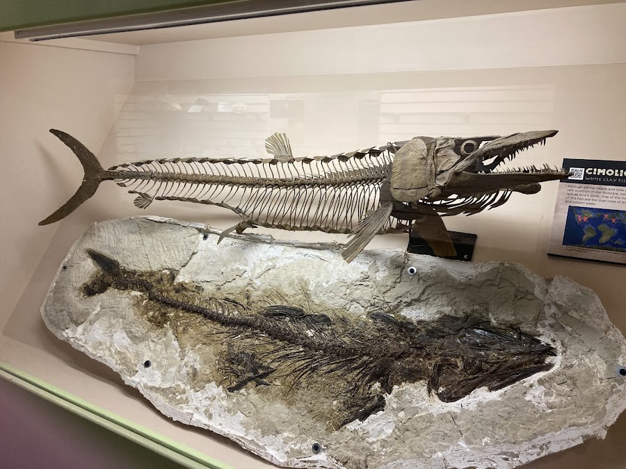 Rocky Mountain Dinosaur Resource Center