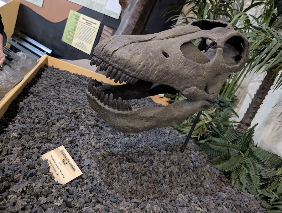 Rocky Mountain Dinosaur Resource Center