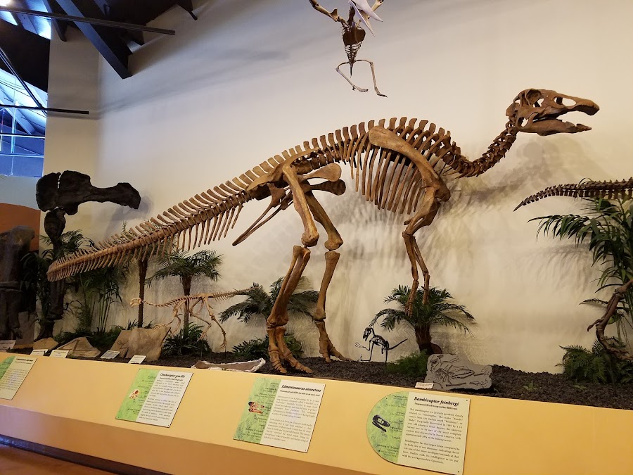 Rocky Mountain Dinosaur Resource Center