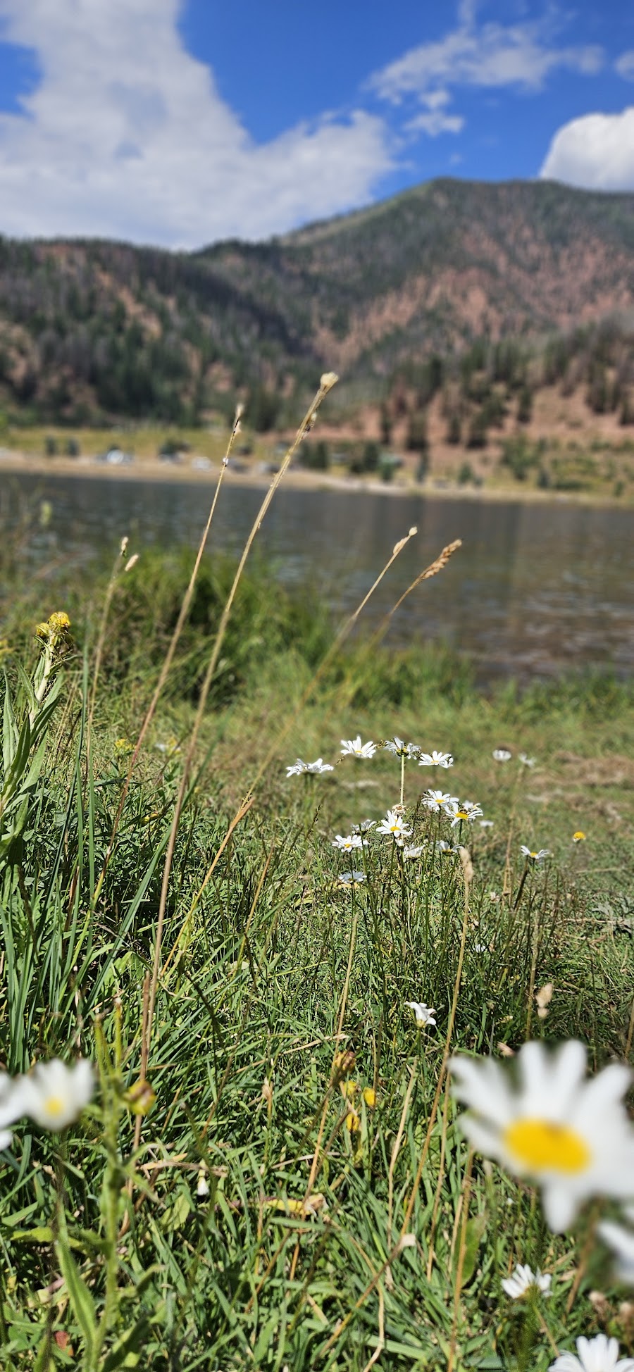 Sylvan Lake State Park