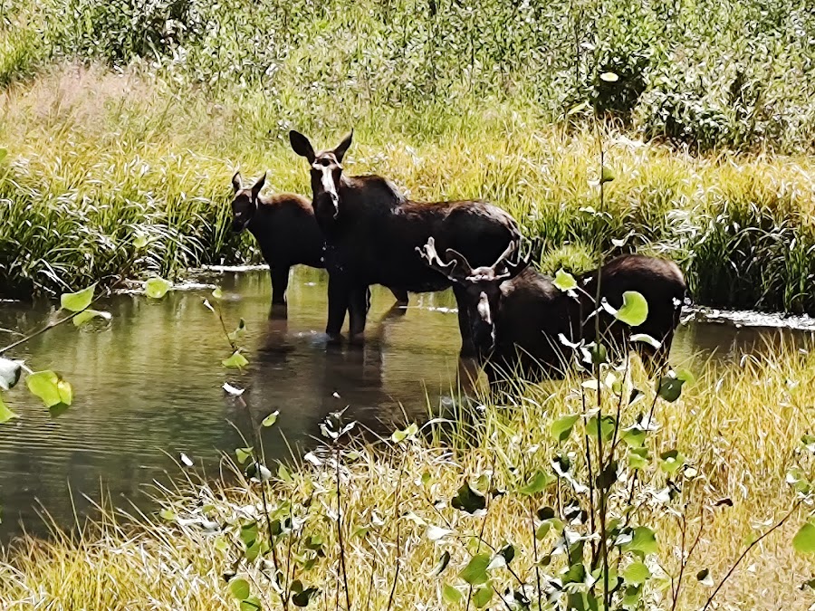 Sylvan Lake State Park