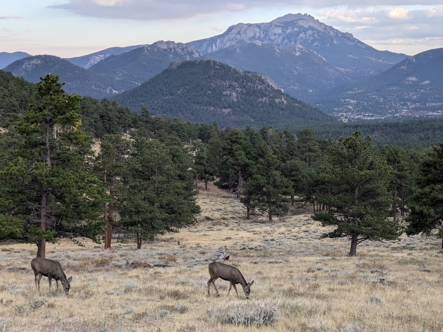 Estes Park