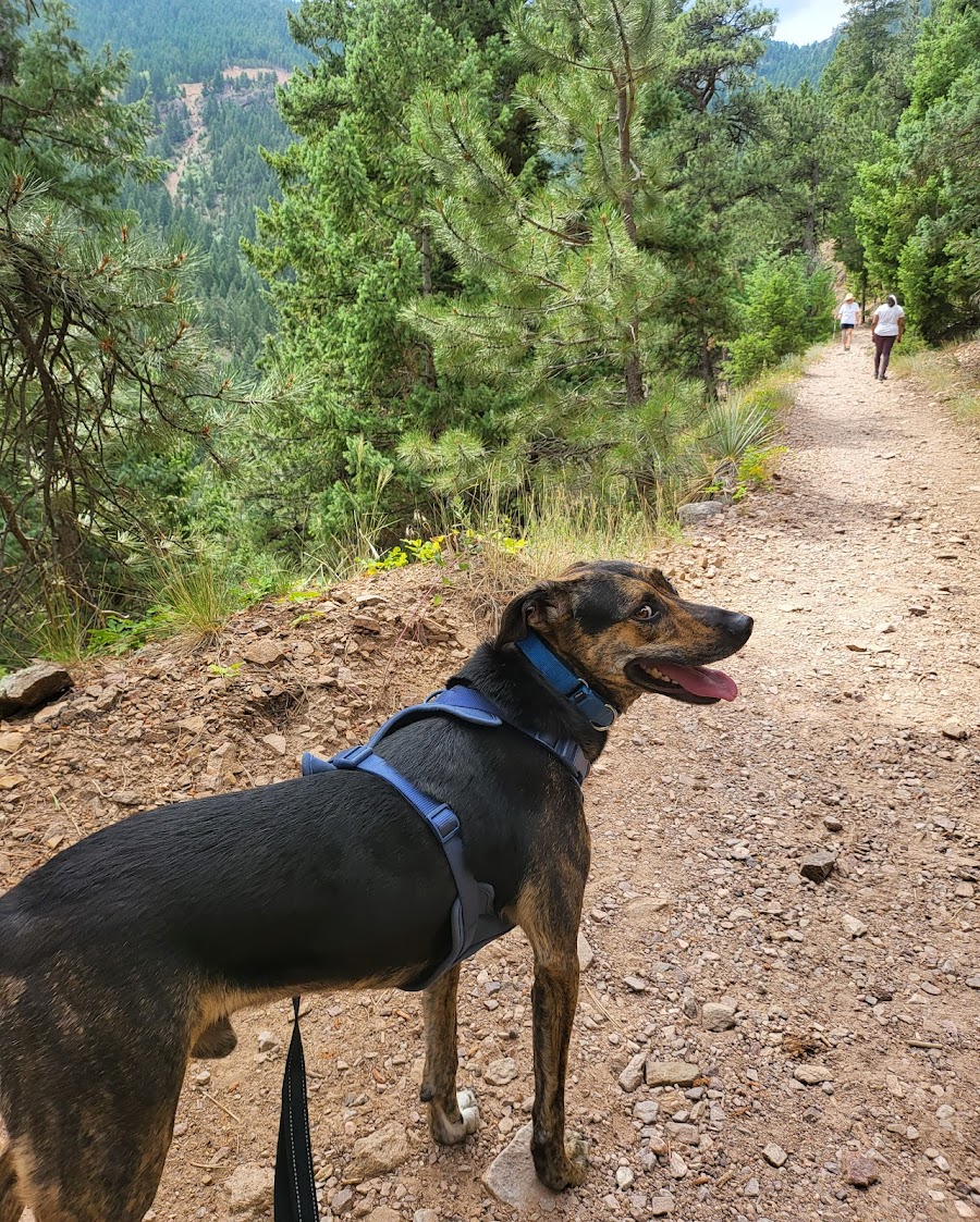 Continental Divide Overlook