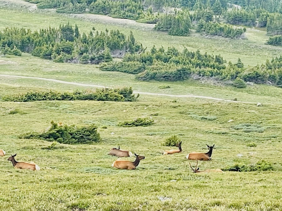 Gore Range Overlook