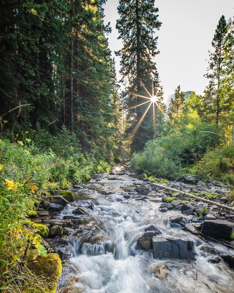 Maroon Bells Scenic Area