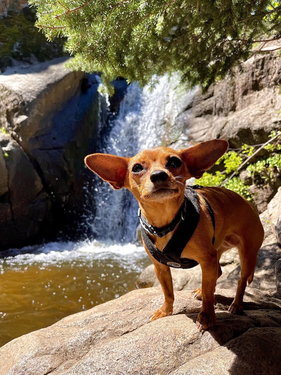 Forsythe Canyon Trailhead