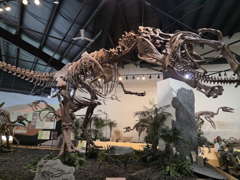 Some of the World’s Best Dinosaur Skeletons Are Hiding in This Small Colorado Town
