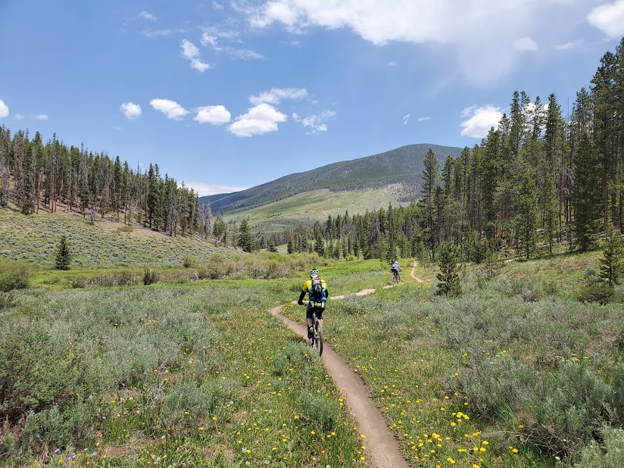 Blair Witch Trailhead