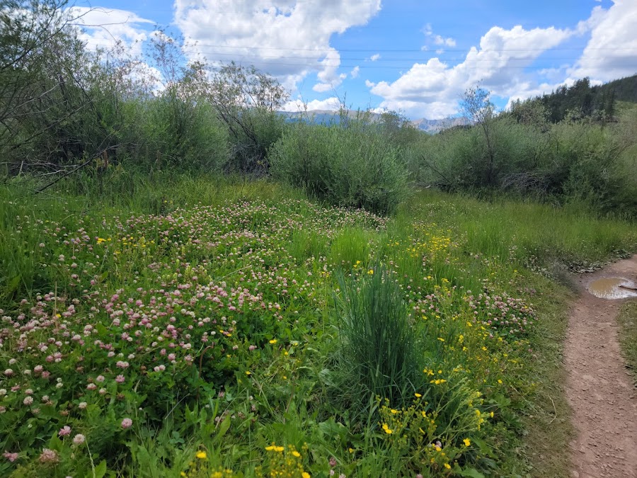 Blair Witch Trailhead
