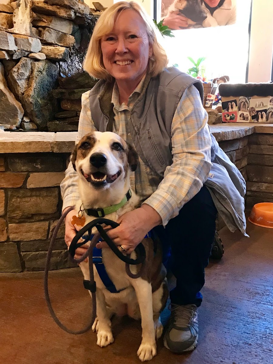 Farfel's Farm & Dog Rescue