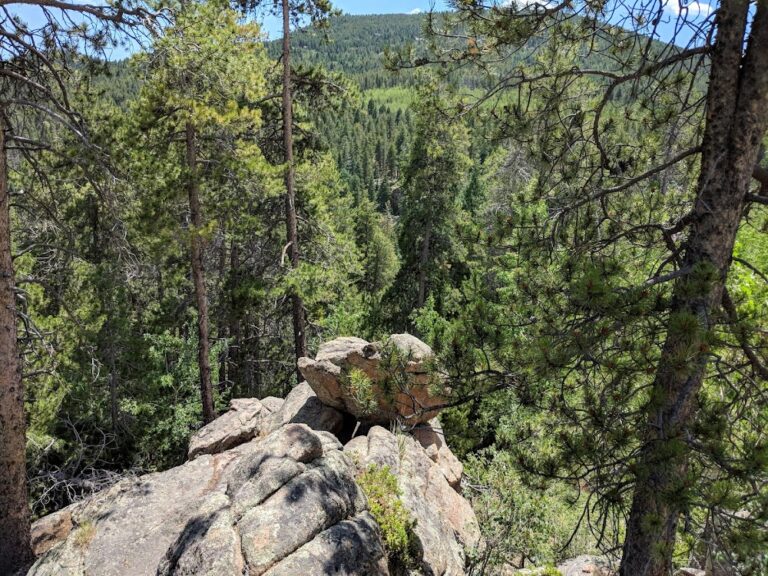 This Quiet Colorado Trail Leads to a Gorgeous Waterfall Hiding in Plain Sight