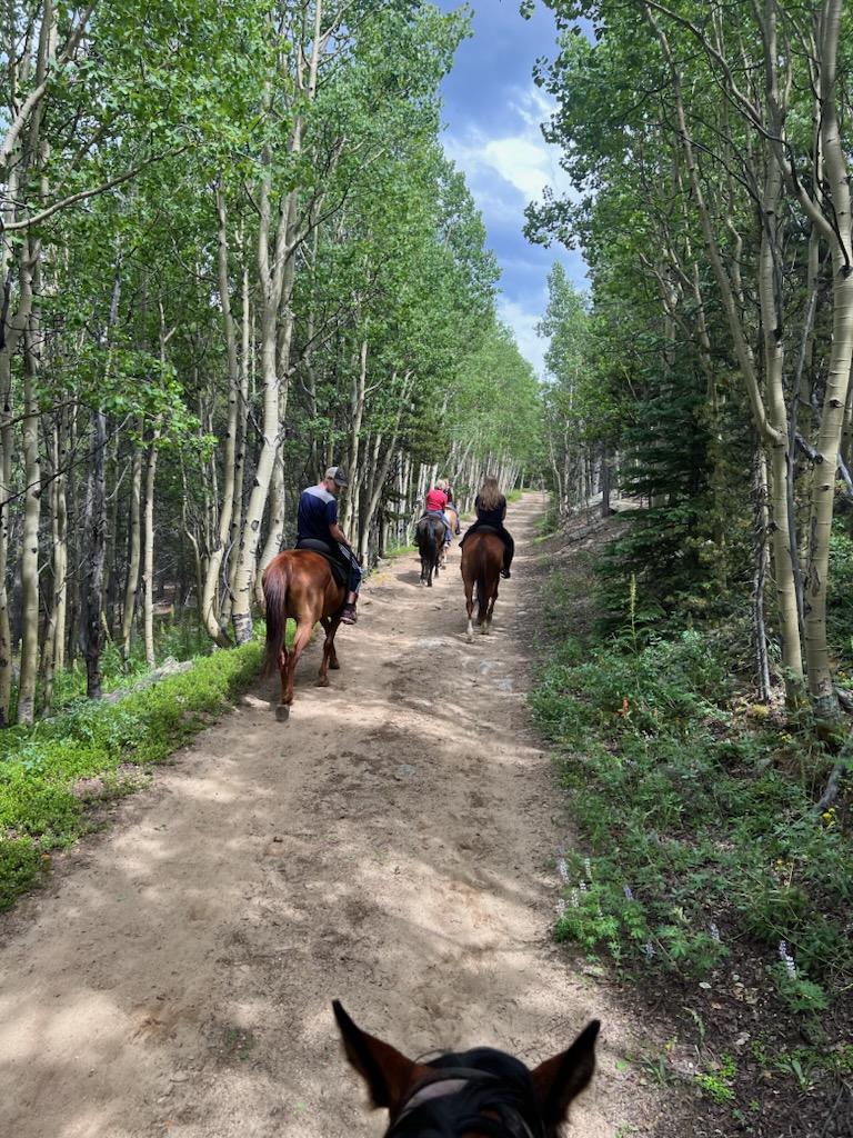 A & A Historical Horseback Riding