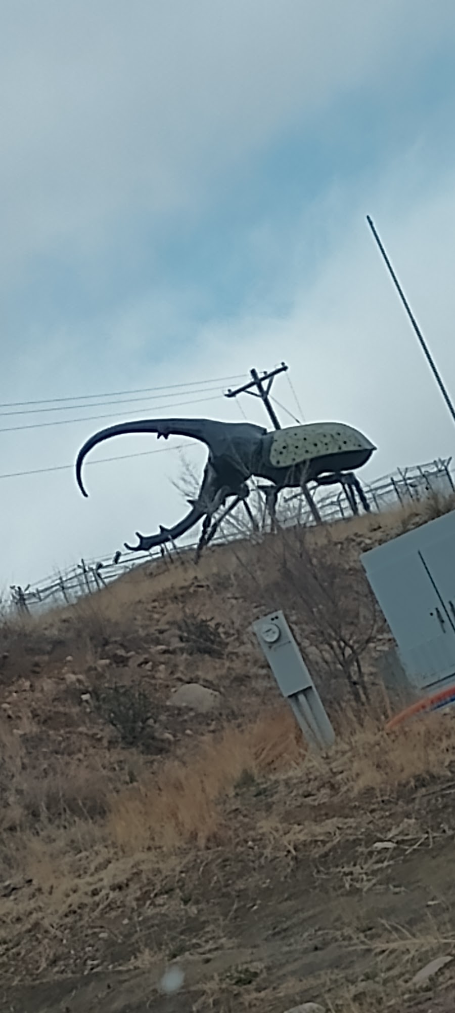Herkimer, the world's largest beetle