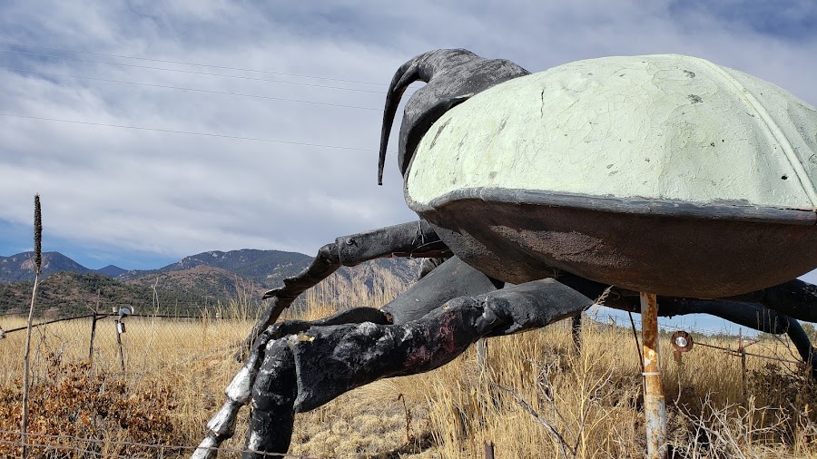 Herkimer, the world's largest beetle