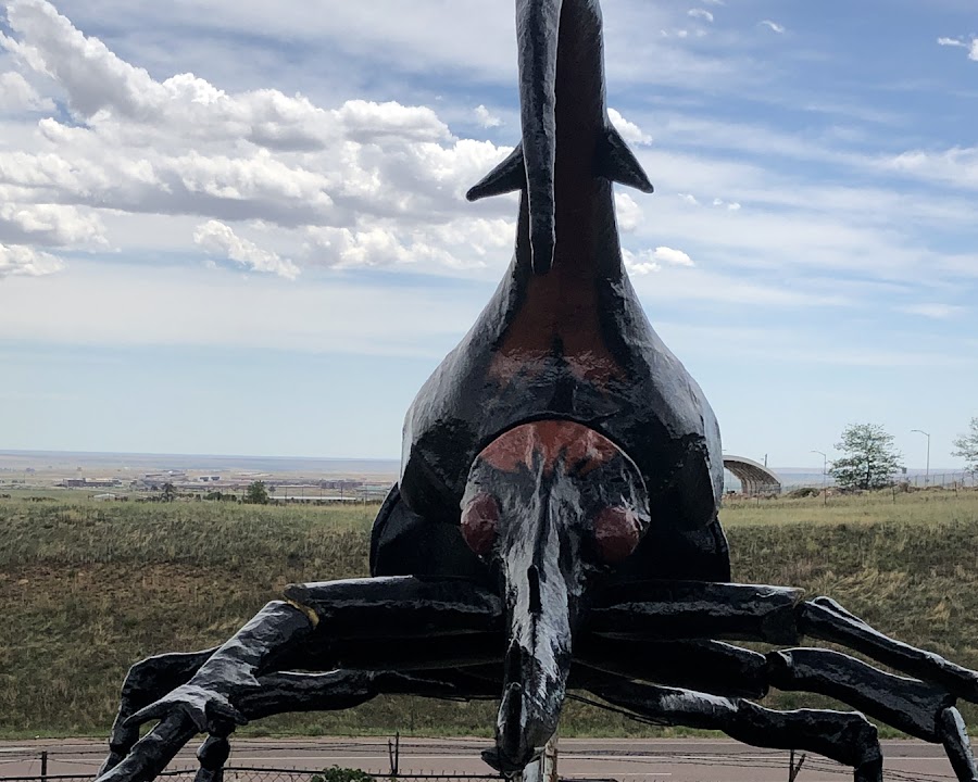 Herkimer, the world's largest beetle