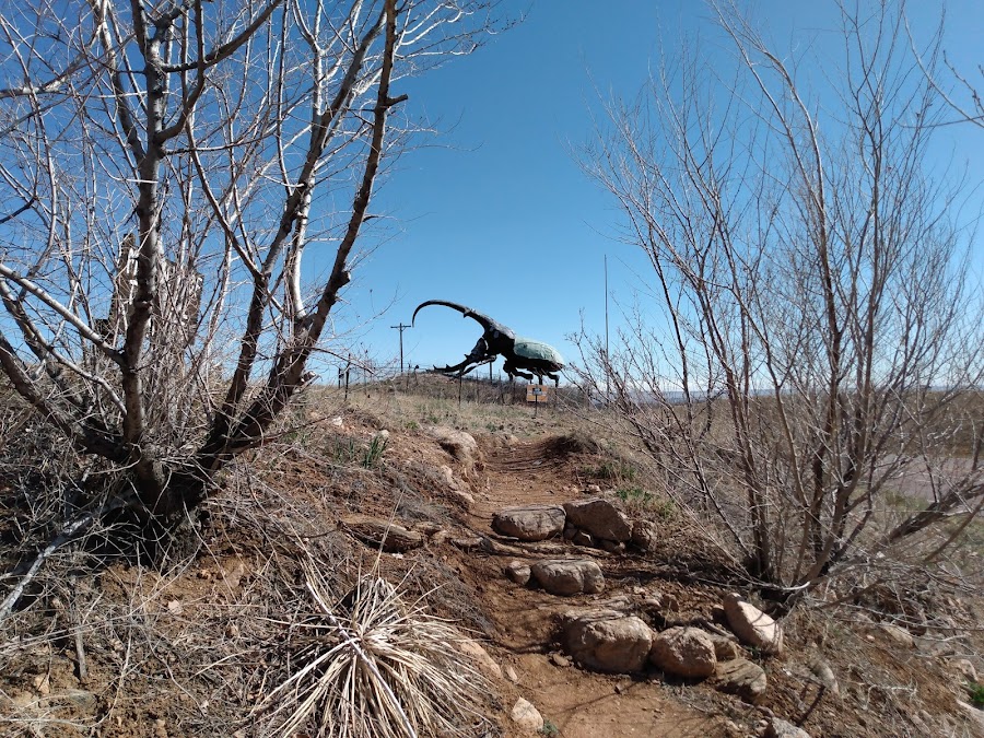 Herkimer, the world's largest beetle
