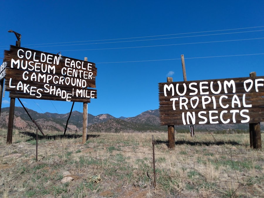Herkimer, the world's largest beetle