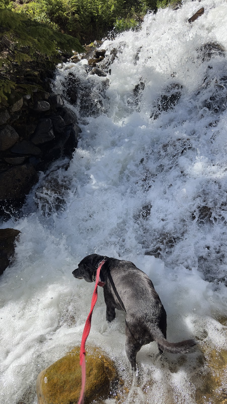 Berthoud Falls Cascades